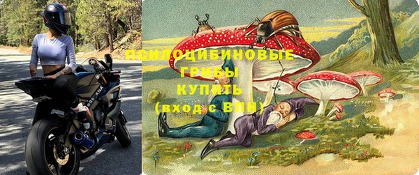 соль ск Алексин
